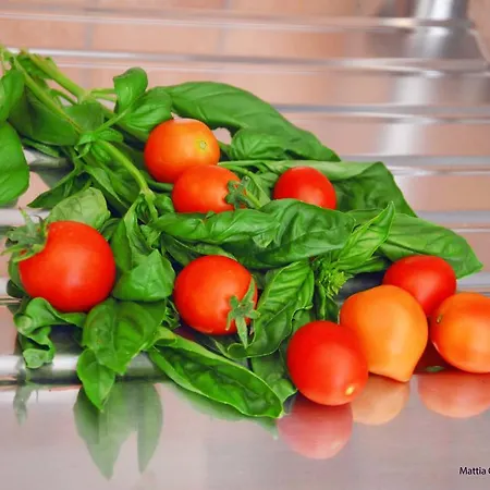 Il Principe Salento Bed & Breakfast *