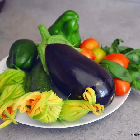 Il Principe Salento *