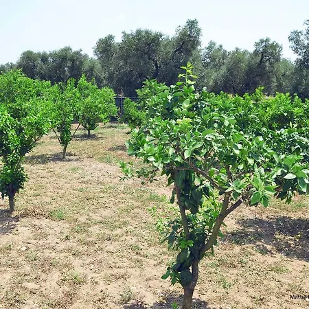 Il Principe Salento * Mesagne