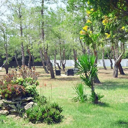 Il Principe Salento * Mesagne