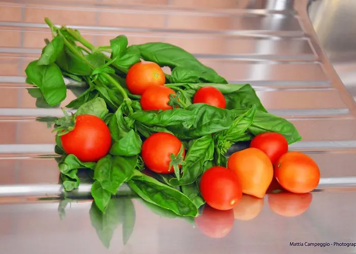 Il Principe Salento Bed & Breakfast *