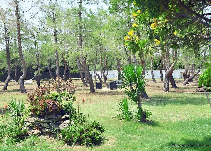 Il Principe Salento * Mesagne